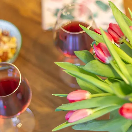 Apartment Style Shelter With Garden Near Downtown
