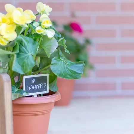 Apartment Style Shelter With Garden Near Downtown Bologna