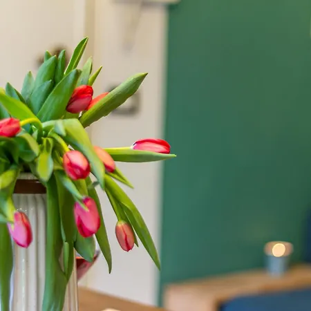 Style Shelter With Garden Near Downtown