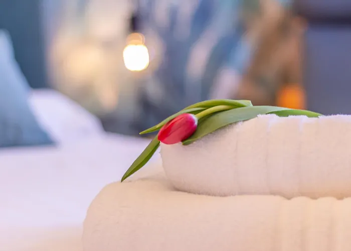 Apartmán Style Shelter With Garden Near Downtown *