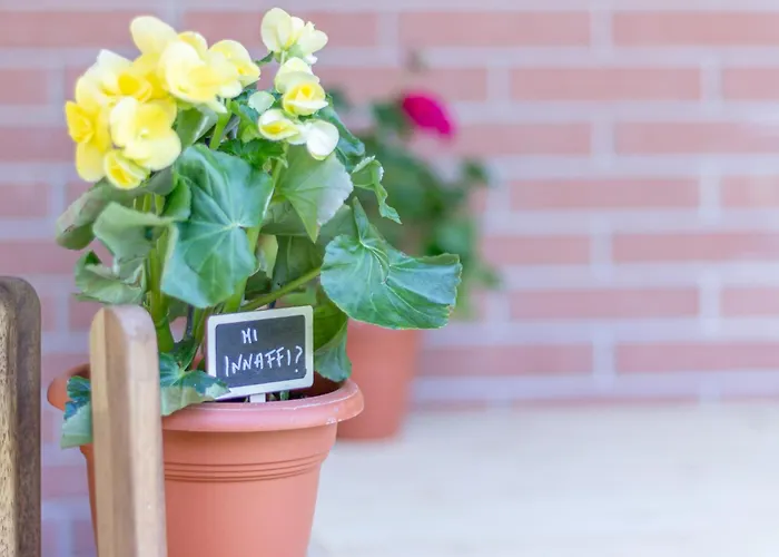 Apartmán Style Shelter With Garden Near Downtown Boloňa