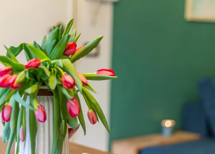 Style Shelter With Garden Near Downtown
