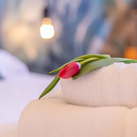 公寓 Style Shelter With Garden Near Downtown *